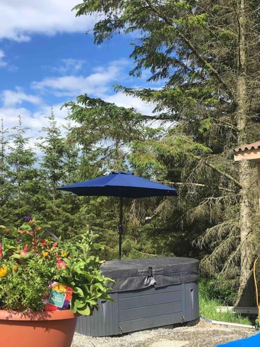 Bankhead Accommodation With Hot Tub Aberdeenshire Gamrie 外观 照片